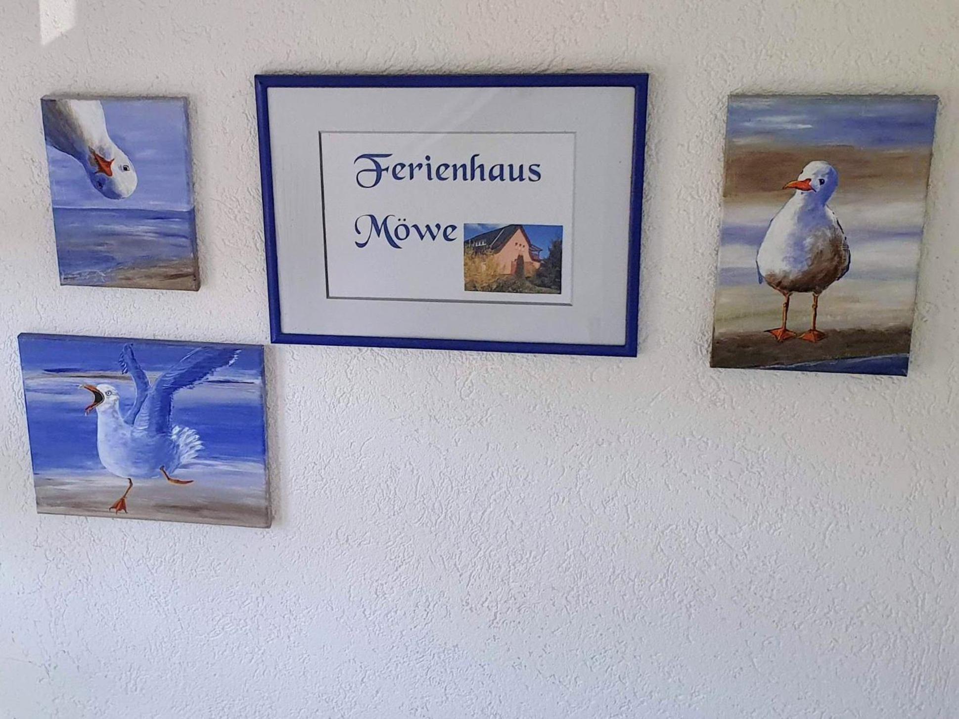 Ferienhaus Moewe Hanshagen  Exteriör bild